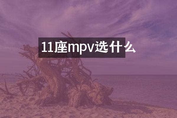 11座mpv选什么