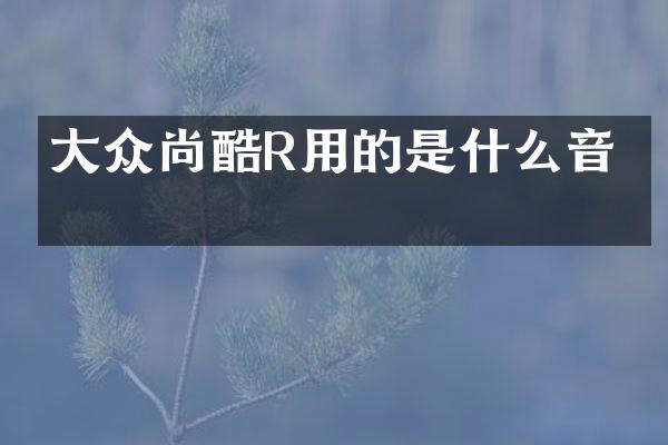 大众尚酷R用的是什么音响