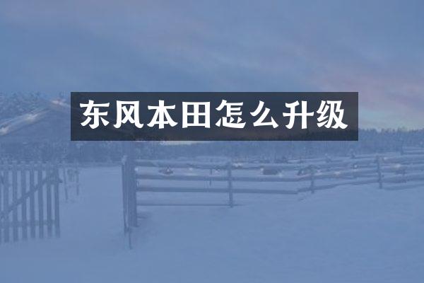 东风本田怎么升级