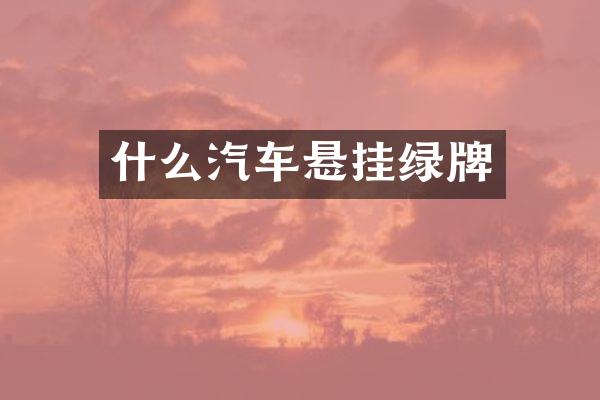 什么汽车悬挂绿牌