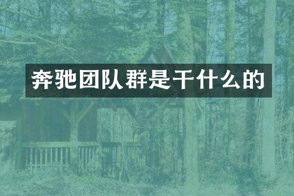 奔驰团队群是干什么的