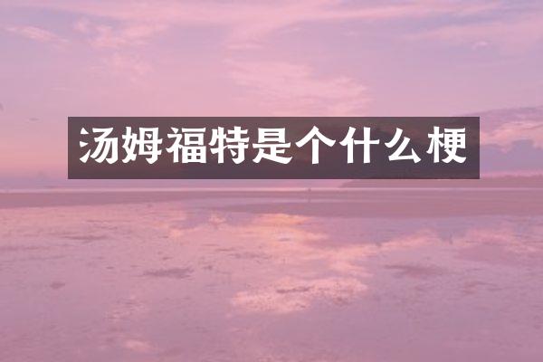 汤姆福特是个什么梗