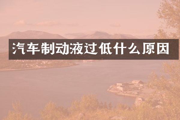 汽车制动液过低什么原因