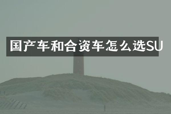 国产车和合资车怎么选SU