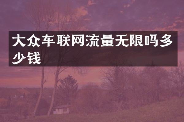 大众车联网流量无限吗多少钱