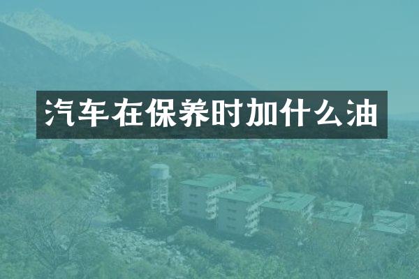 汽车在保养时加什么油