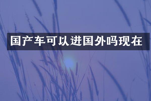 国产车可以进国外吗现在