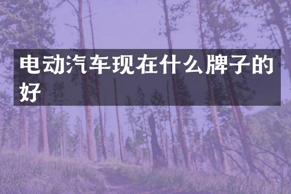 电动汽车现在什么牌子的好