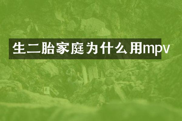 生二胎家庭为什么用mpv