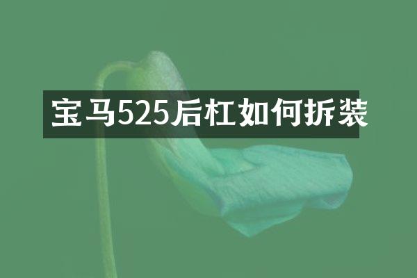 宝马525后杠如何拆装