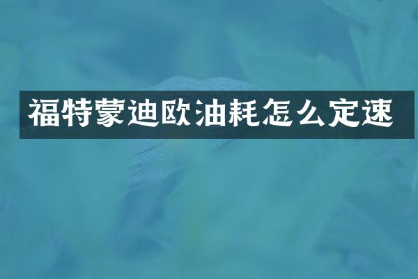 福特蒙迪欧油耗怎么定速