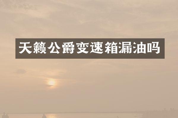 天籁公爵变速箱漏油吗