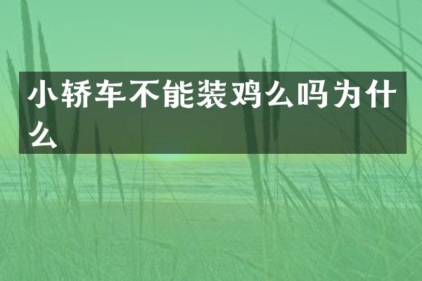 小轿车不能装鸡么吗为什么