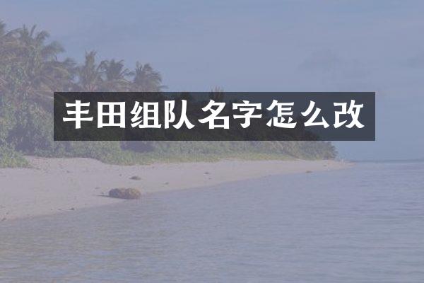 丰田组队名字怎么改