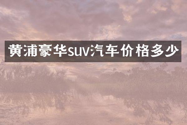 黄浦豪华suv汽车价格多少