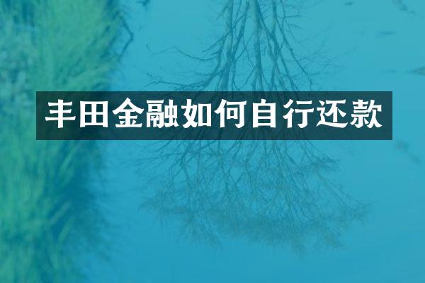 丰田金融如何自行还款