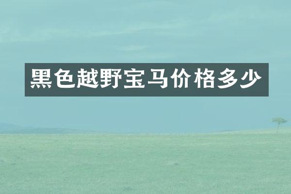 黑色越野宝马价格多少