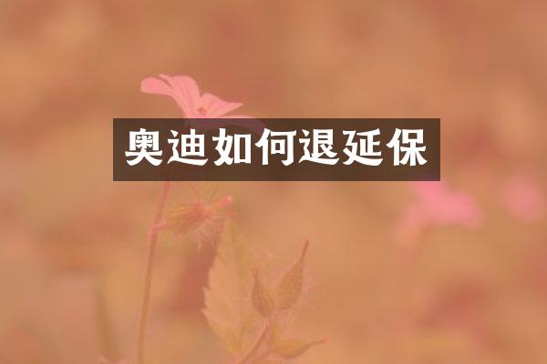 奥迪如何退延保