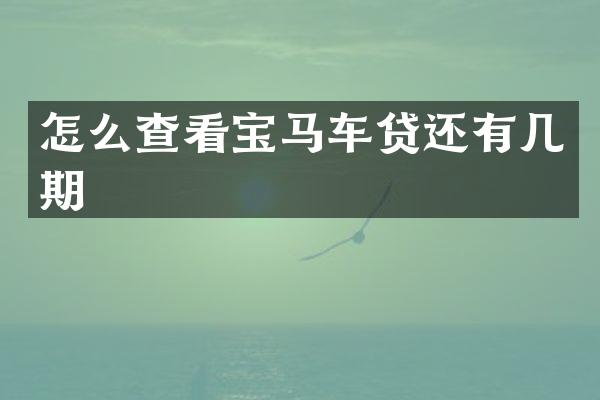 怎么查看宝马车贷还有几期