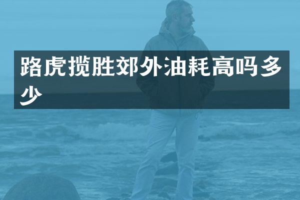 路虎揽胜郊外油耗高吗多少