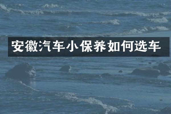 安徽汽车小保养如何选车