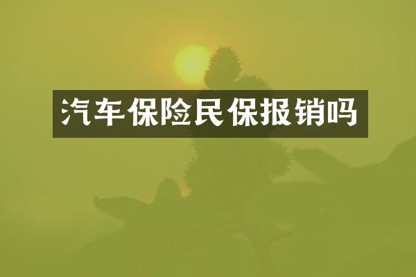汽车保险民保报销吗