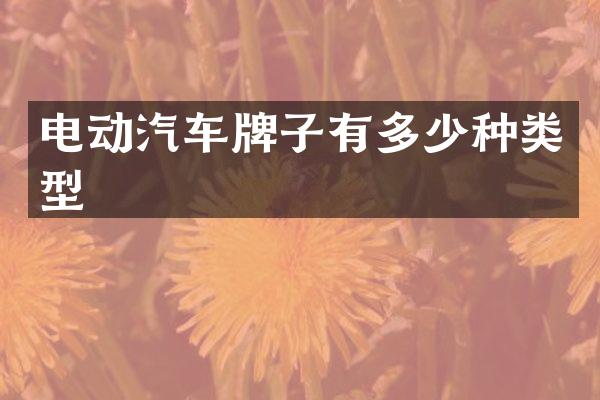 电动汽车牌子有多少种类型