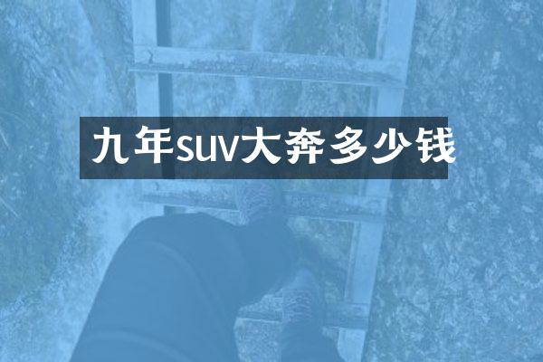 九年suv大奔多少钱