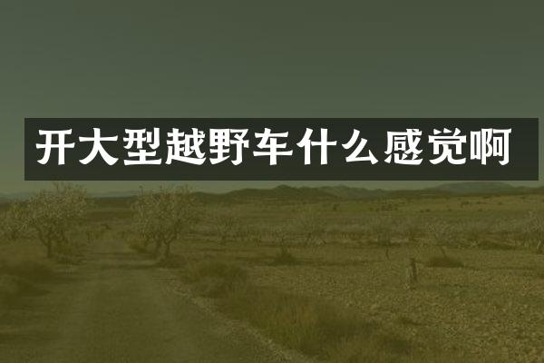 开大型越野车什么感觉啊