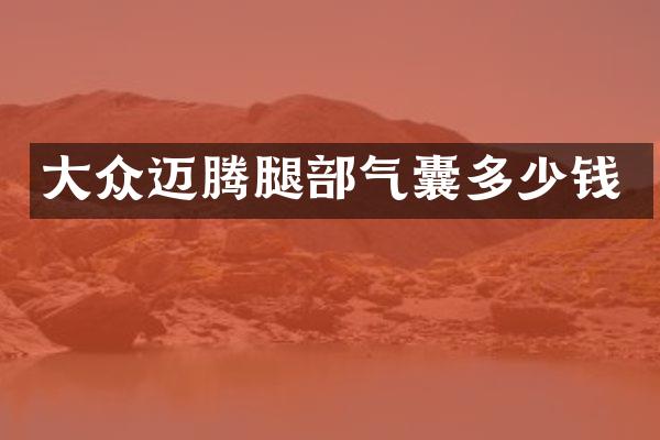 大众迈腾腿部气囊多少钱