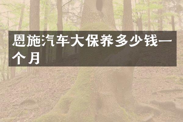 恩施汽车大保养多少钱一个月