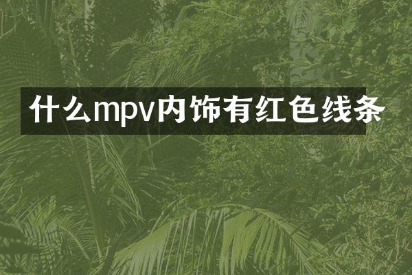 什么mpv内饰有红色线条