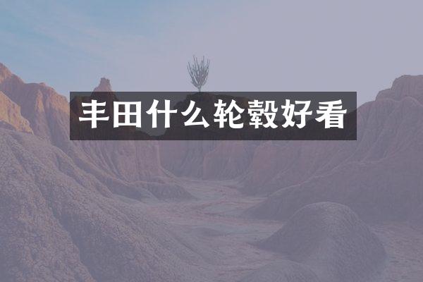 丰田什么轮毂好看