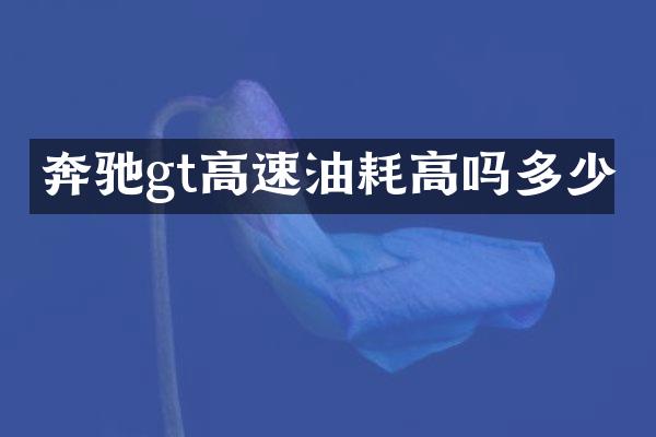 奔驰gt高速油耗高吗多少