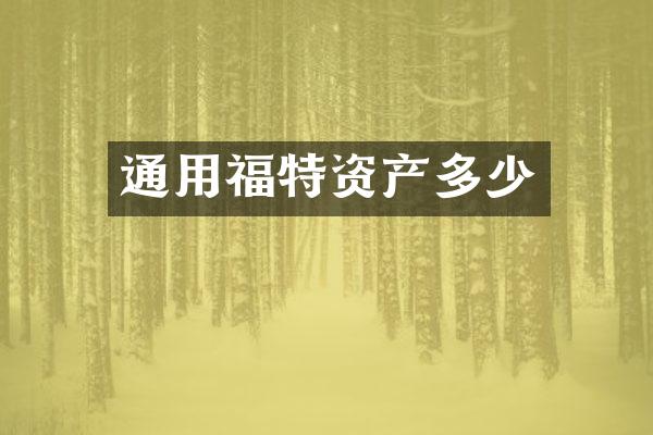 通用福特资产多少