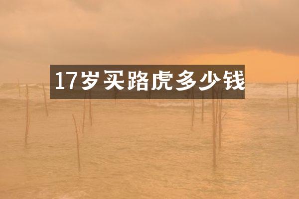 17岁买路虎多少钱
