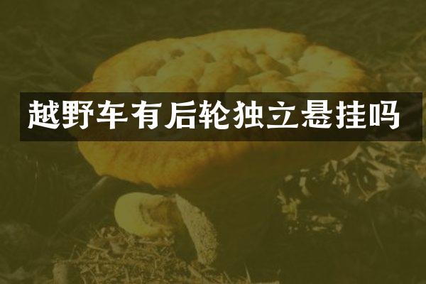 越野车有后轮独立悬挂吗