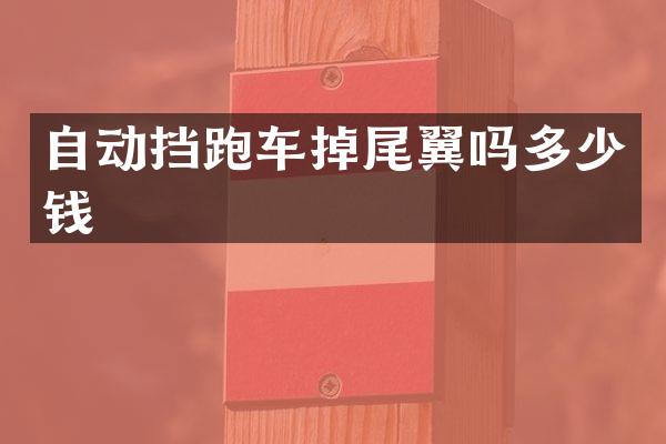 自动挡跑车掉尾翼吗多少钱