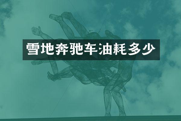 雪地奔驰车油耗多少