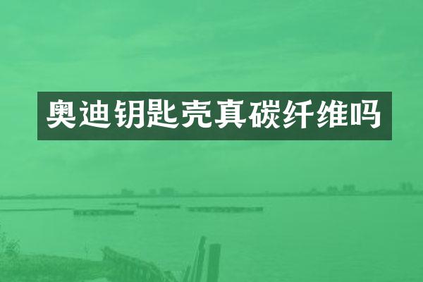 奥迪钥匙壳真碳纤维吗