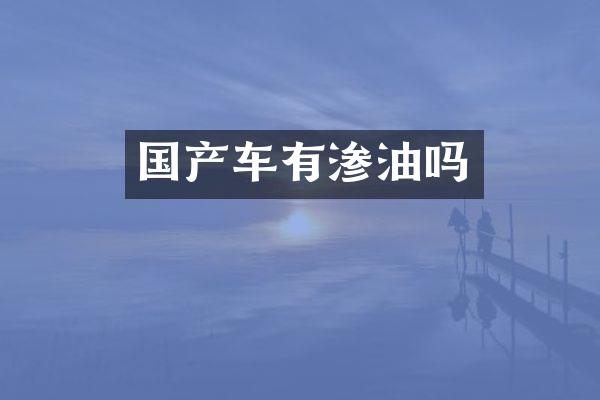 国产车有渗油吗