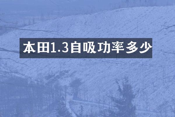 本田1.3自吸功率多少