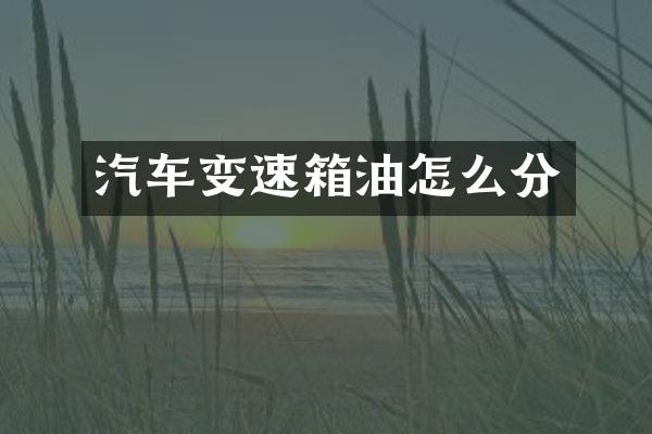 汽车变速箱油怎么分