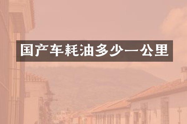 国产车耗油多少一公里