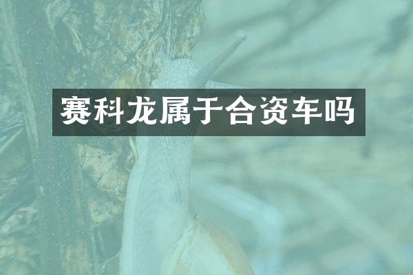 赛科龙属于合资车吗