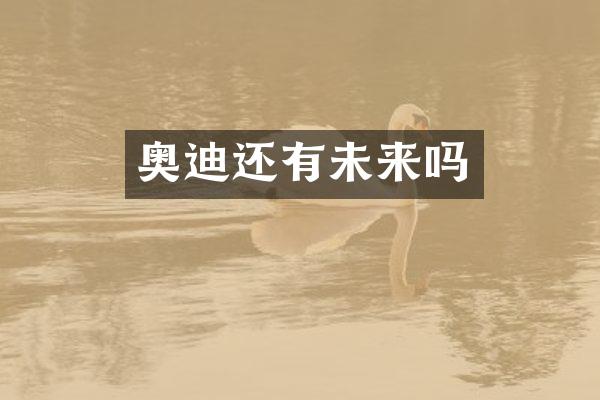 奥迪还有未来吗