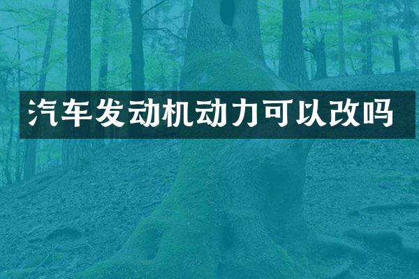 汽车发动机动力可以改吗