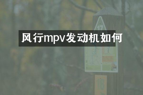 风行mpv发动机如何