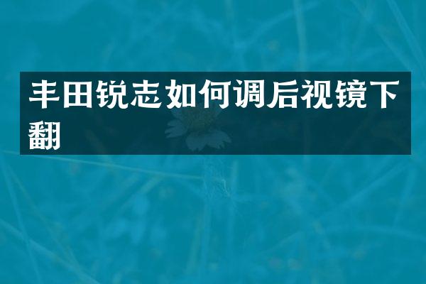 丰田锐志如何调后视镜下翻