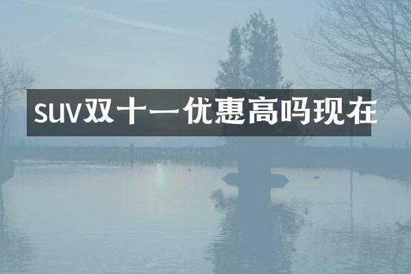 suv双十一优惠高吗现在